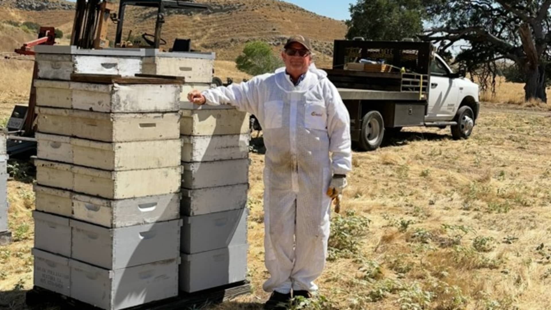 Bradshaw Honey Farms beekeeper keeps family business alive amid losses
