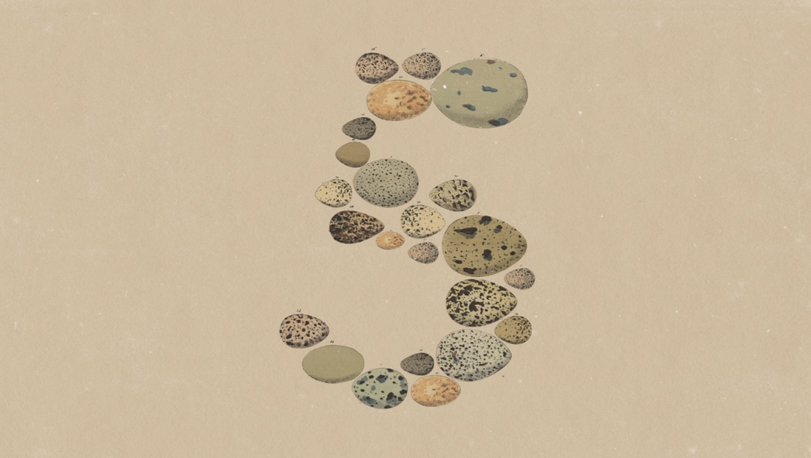 Anthropic Opus 5 launches with lighter safeguards than Fable