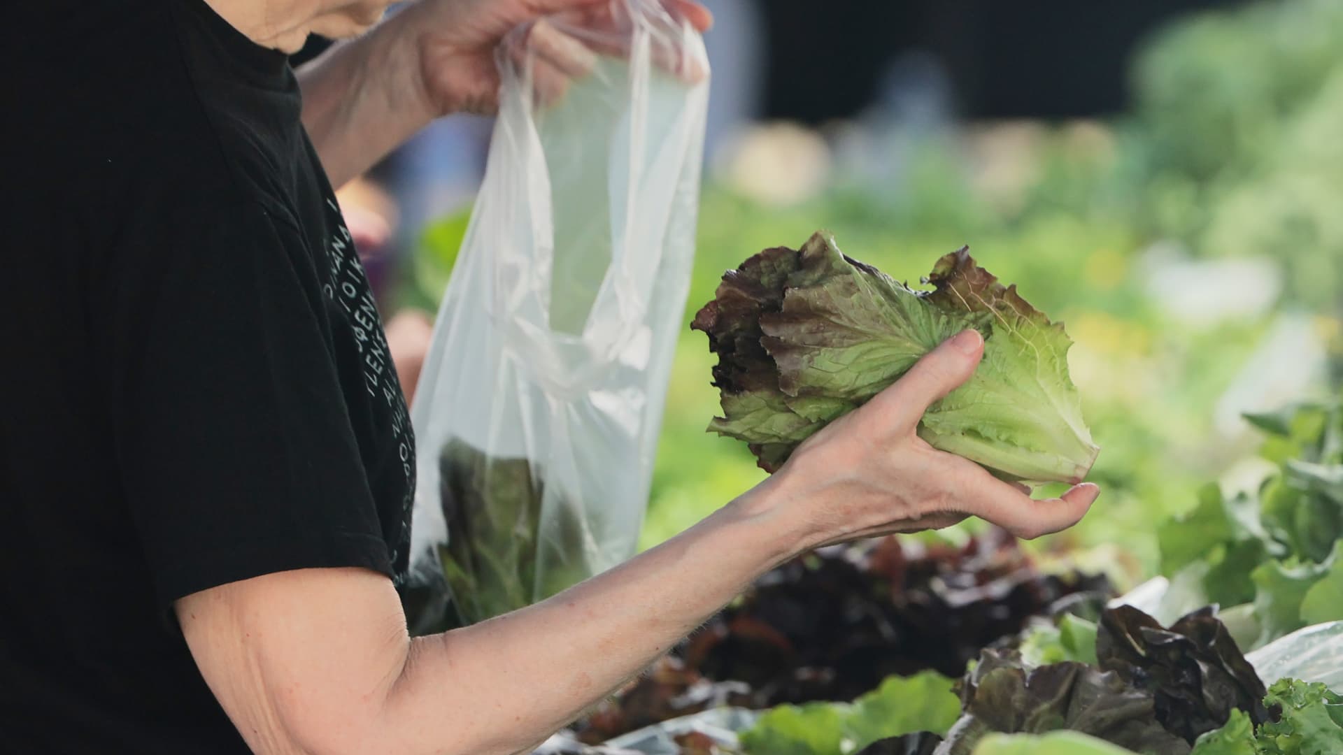 Cyclospora salad sales fall as targeted lettuce recall spooks diners