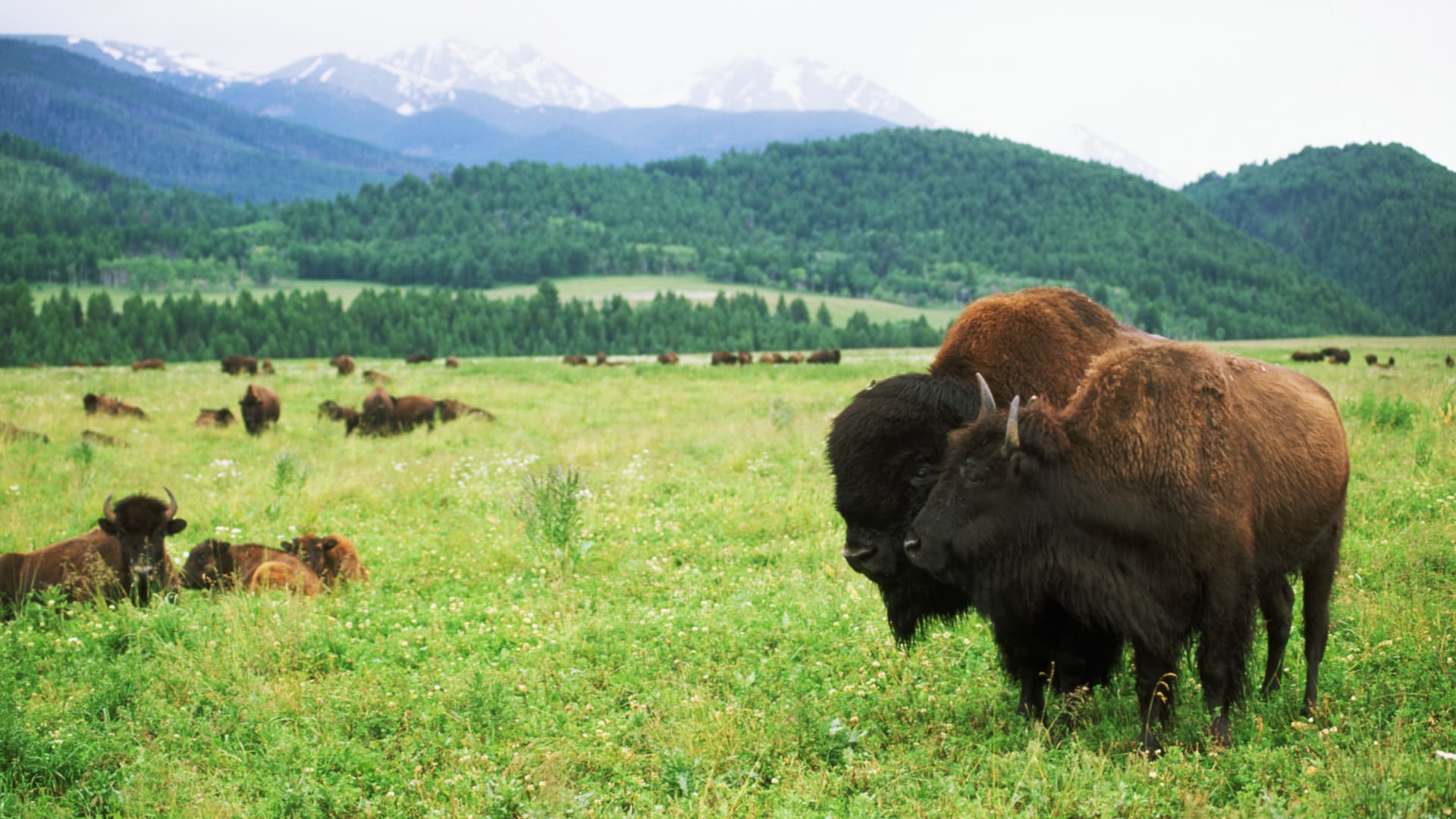 Land-preservation tax breaks face IRS heat but still have uses
