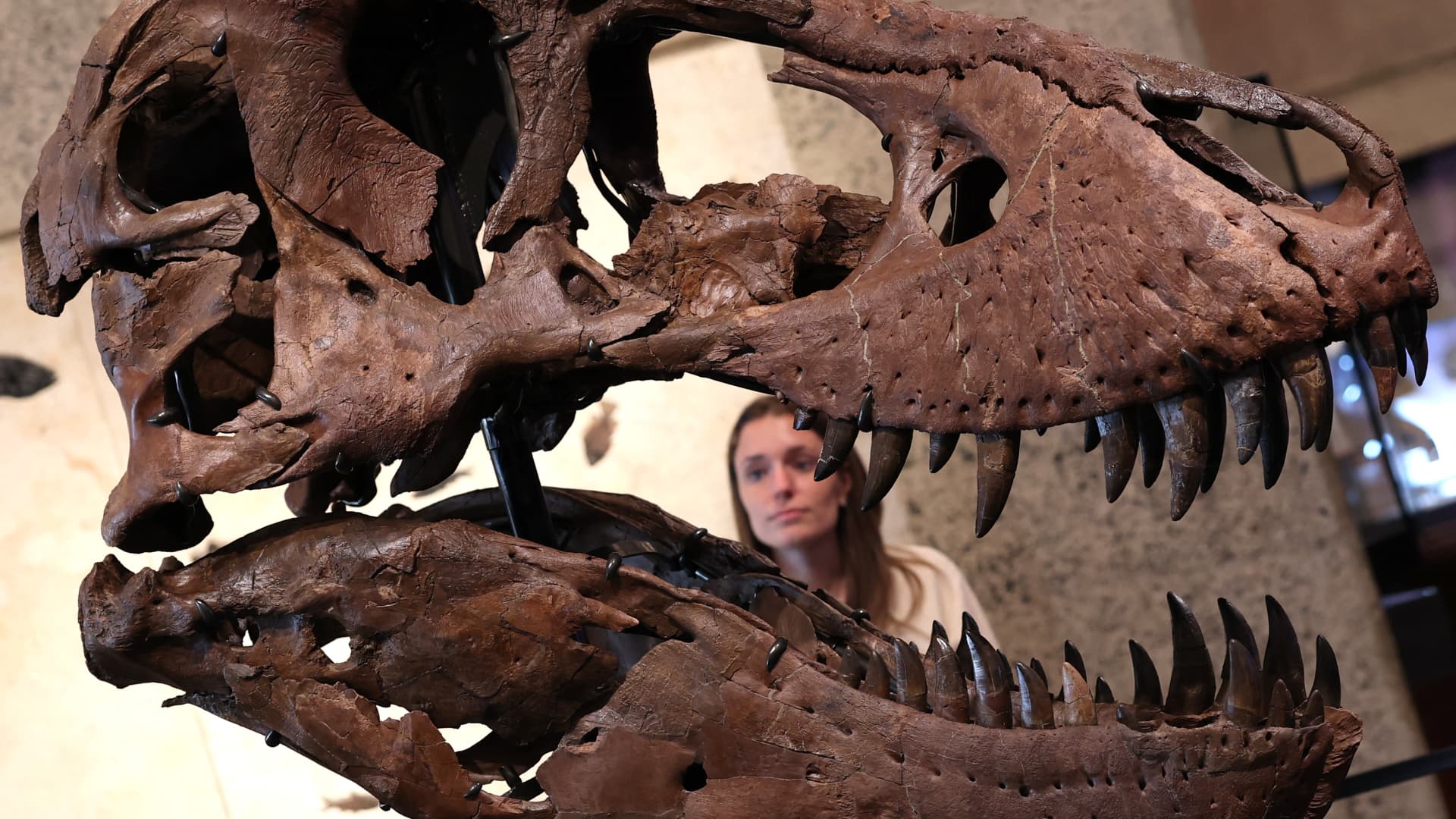 Tech wealth auction prices lift art, watches and dinosaur fossils